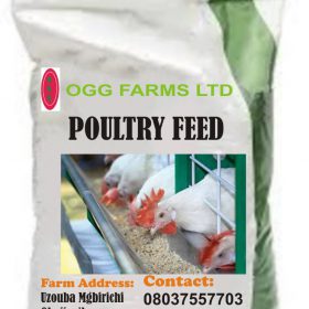 poultry feeds in nigeria