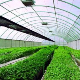 greenhouse technology