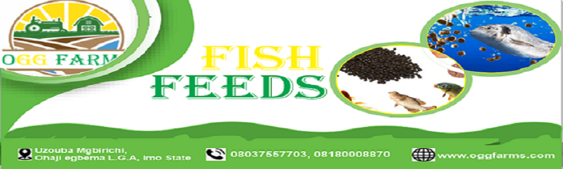 buy fish feed in Nigeria