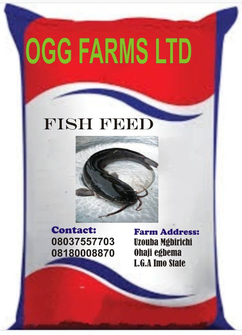 fish feeds products